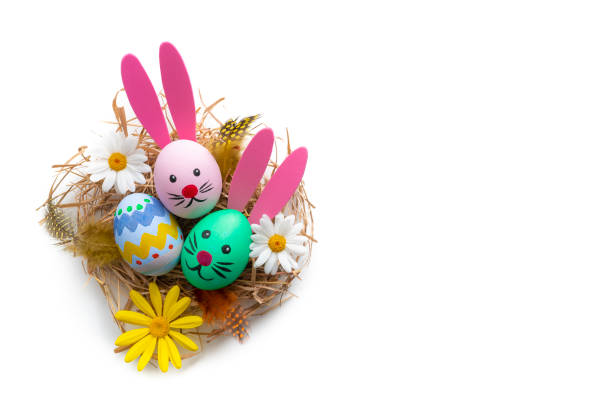Easter Eggs on a nest hand painted with bunny face and ears and spring daisy flowers isolated on white background