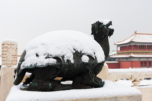 The tortoise sculpture in the snowflakes of the Forbidden City in Beijing