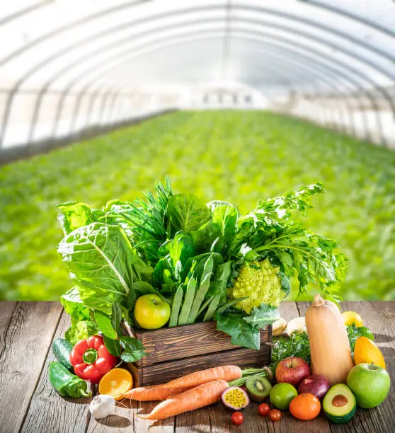 Photo of Assorted fruits and vegetables in a wooden box fresh after harvest in a greenhouse field