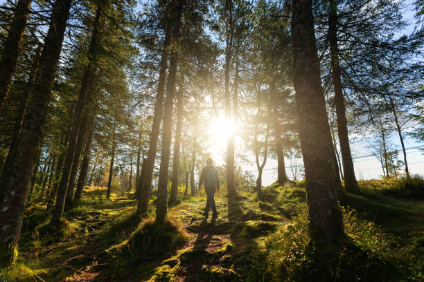 istock Woman hiking outdoors in springtime forest and trees in Norway 1370151863
