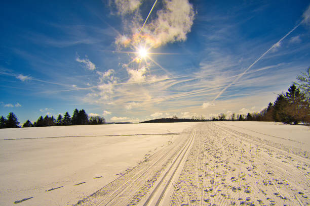 between Neustadt am Rennsteig and Kahlert in the Thuringian Forest