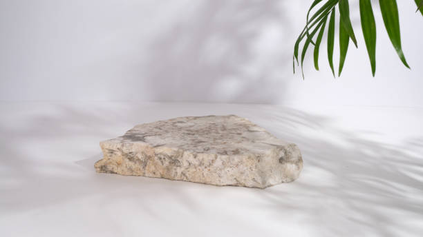 istock Background with palm leaves and shadows. Marble podium. 1370155454