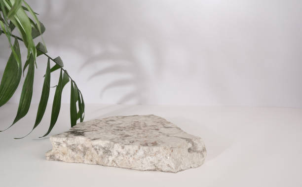 istock Background with palm leaves and shadows. Marble podium. 1370155455