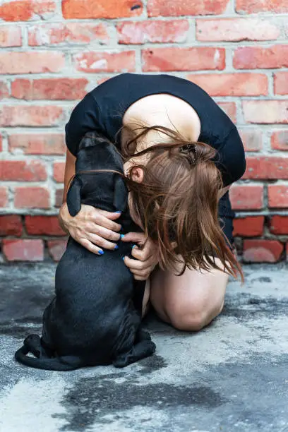 Young Caucasian woman embraces little black puppy of Staffordshire Bullterrier breed. Cute picture on red brick wall background, friendship of human and dog. Outdoors, copy space.