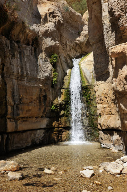 istock Streams and waterfalls Nature Reserve Ein Gedi 1370163064
