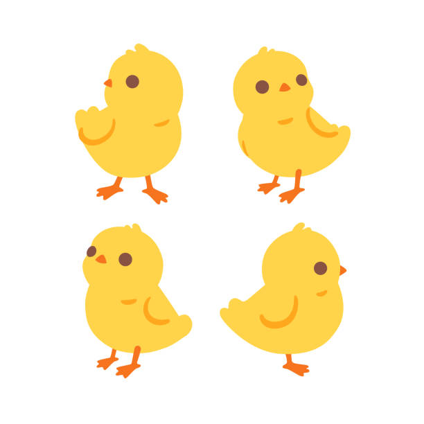 птица - young bird stock illustrations