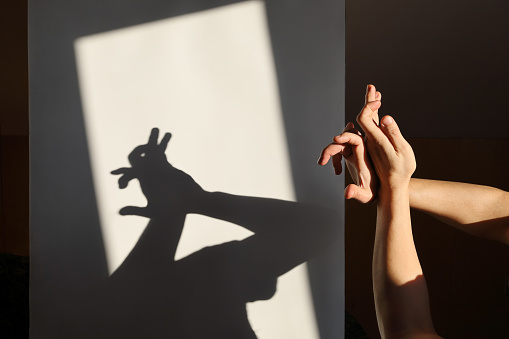 Improvised shadow theater, hands show silhouette of hare on white surface in rays of sunlight