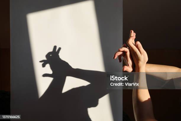 Improvised Shadow Theater Hands Show Silhouette Of Hare On White Surface In Rays Of Sunlight Stock Photo - Download Image Now