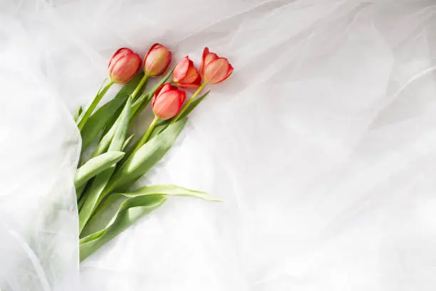 Bouquet of flowers on a white background. Tulips. Women's Day.