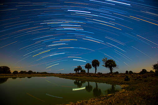 Star trails image shot at Dinner Island Ranch Wildlife Management Area near Clewiston, Florida.