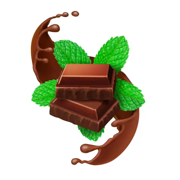 Vector illustration of Chocolate pieces and mint leaves isolated.