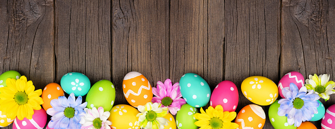 Colorful Easter eggs and spring flowers. Top view bottom border against a dark wood banner background. Copy space.