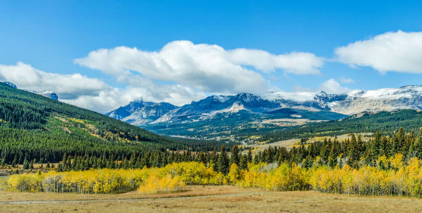 Panoramic views of a mountain range and forests with autumn foliage in Glacier National Park