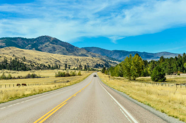 Lonely highway in the state of Idaho in the USA with beautiful scenery in summer