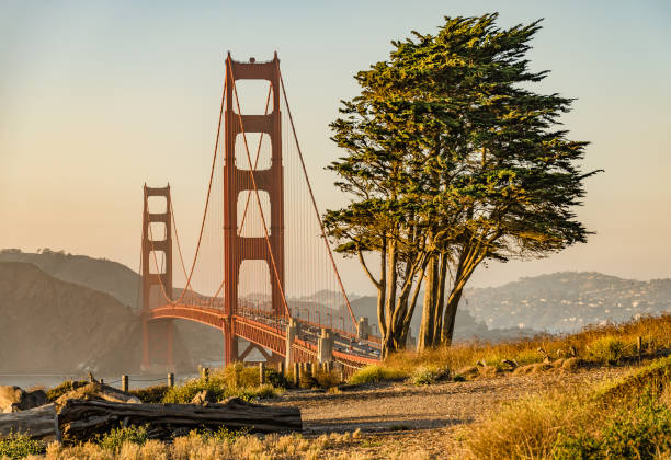 golden gate bridge zur goldenen stunde - san francisco county bridge california fog stock-fotos und bilder