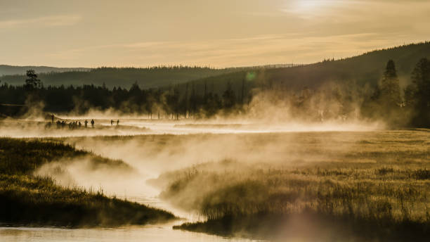 istock Madison River in Yellowstone National Park 1370173749