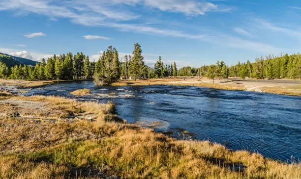 Firehole River with forest and grasslands in Yellowstone National Park