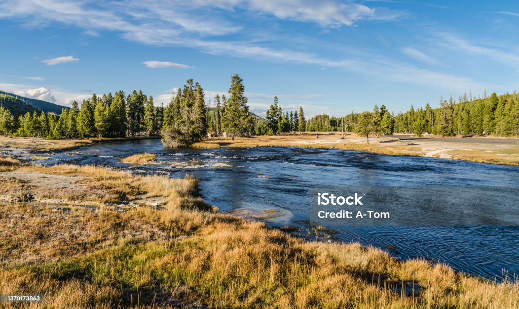 Firehole River in Yellowstone National Park Firehole River with forest and grasslands in Yellowstone National Park Montana - Western USA Stock Photo