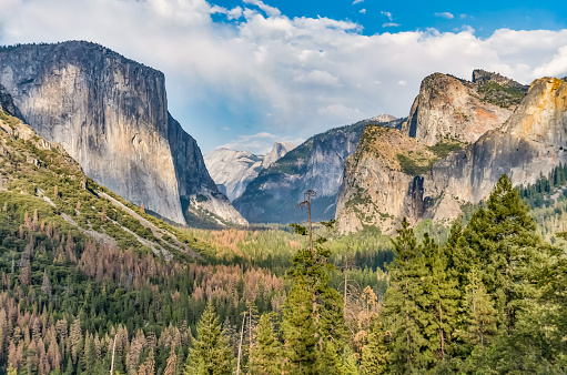 Scenic views from Tunnel View into Yosemite Valley in Yosemite National Park