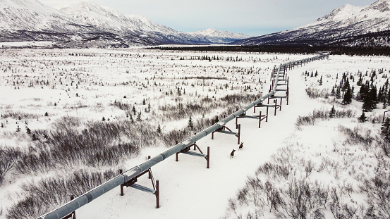 Close-up of the Trans-Alaska Pipeline above the Yukon River, USA