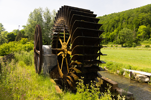 A water wheel in a forest