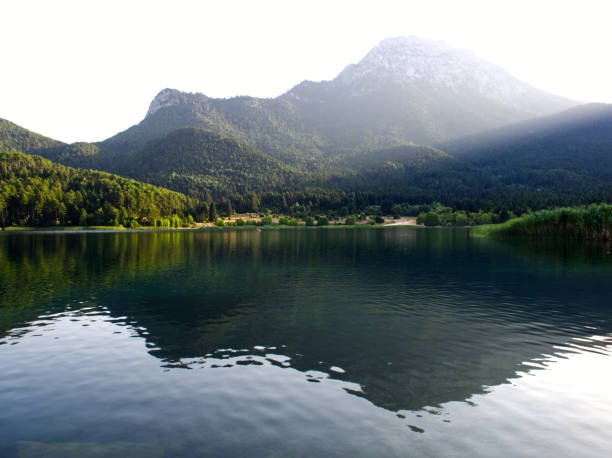 Clear water blue mountain lake, Dolomites, Italy