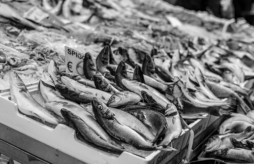 black and white photo of a fish market in Italy