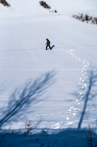 karla kaplı ovada görünen ağaç ve hat çekmiş çalılıklar.  ağaçlara doğru yürüyen adam arka planı. karla kaplı görüntü full frame makine ile çekilmiştir.