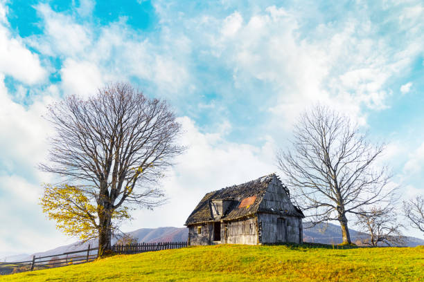 Old wooden house on the countryside. house standing alone among the field