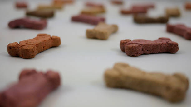 istock Dog Treats Spinning Over White Background 1370194061