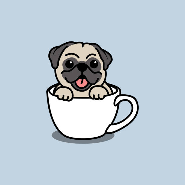 Cute pug dog in a cup cartoon, teacup dog, vector illustration Cute pug dog in a cup cartoon, teacup dog, vector illustration pug stock illustrations