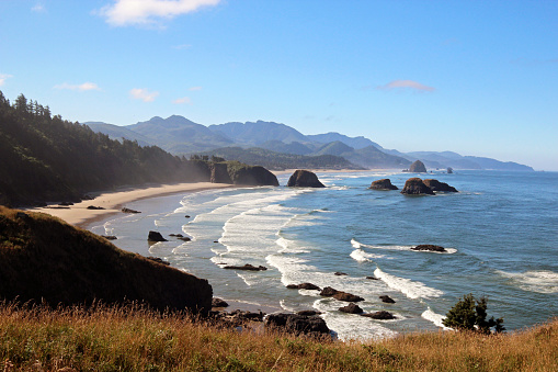 Vertical image of Ecola State Park Overlook with a view of Cannon Beach on the Oregon Coast.
