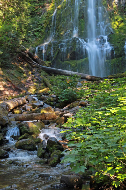 istock Vertical Image of Proxy Falls Waterfall in Willamette National Forest in Oregon 1370200134