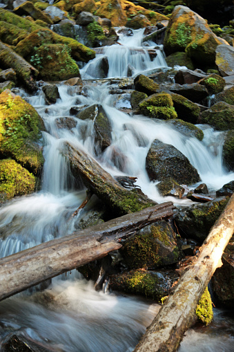 Cascading waterfalls in the the woods of Willamette National Forest of Oregon in the Pacific Northwest