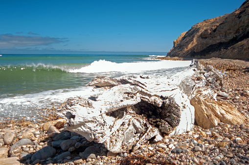 Driftwood log on rocky beach at Yellow banks bay on Santa Cruz Island in the Channel Islands National Park California United States