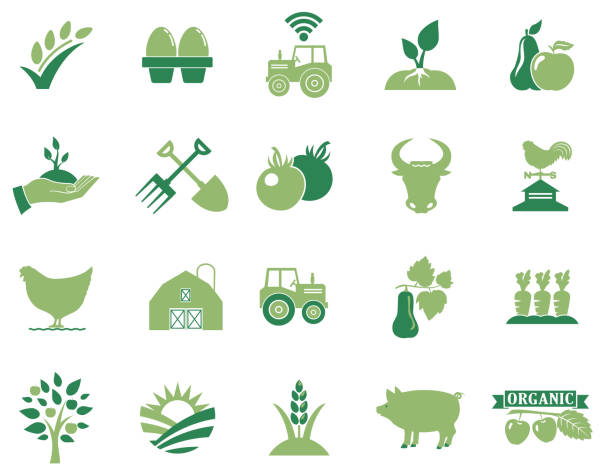 ikony rolnictwa i rolnictwa na przezroczystym tle - agriculture stock illustrations