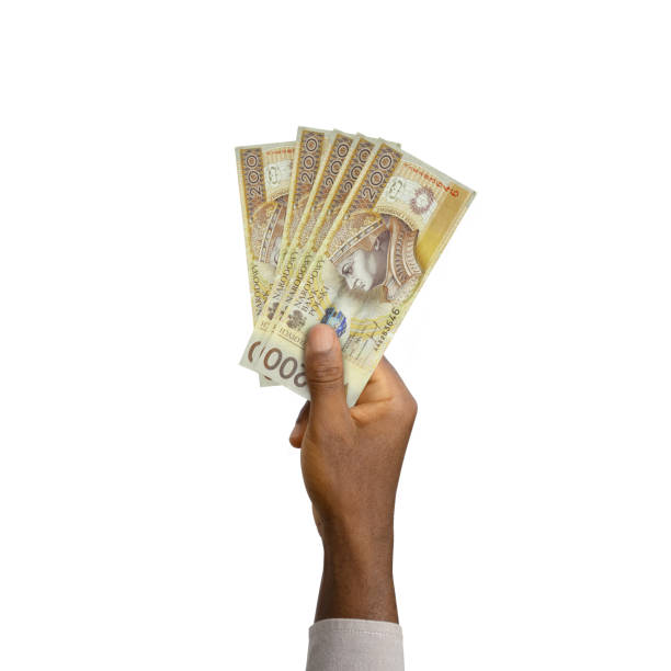 istock Black Hand holding 3D rendered polish zloty notes 1370206797