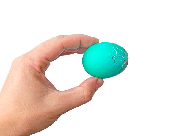 istock Unrecognizable men hand holding up for eggs. Knocking a red Easter egg. Old holiday tradition. Isolated white background. Happy Easter 1370212642