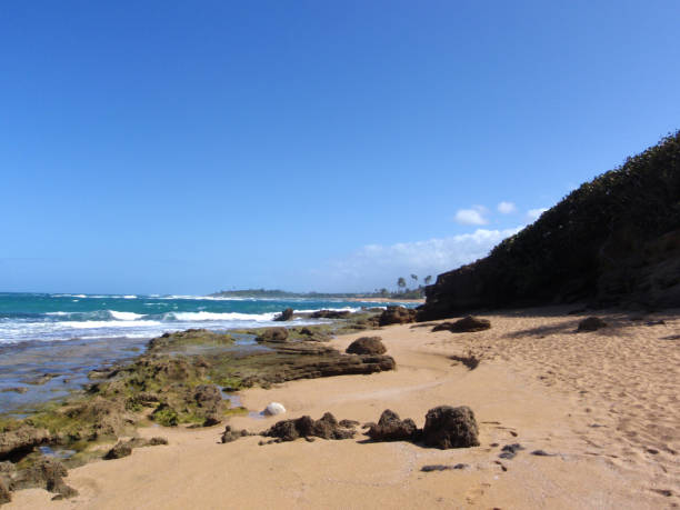 istock Beach with tide pools and footprints in the sand 1370214680