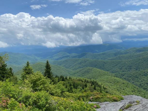 istock Top of the mountain 1370220259