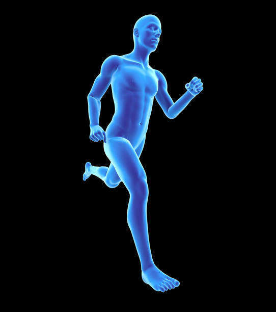 3D illustration of a man running. Muscles in highlight. Isolated on black background. Great to be used for works of medicine and health.