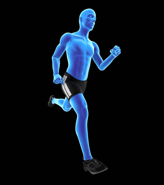 3D illustration of a man running. Muscles in highlight. Isolated on black background. Great to be used for works of medicine and health.