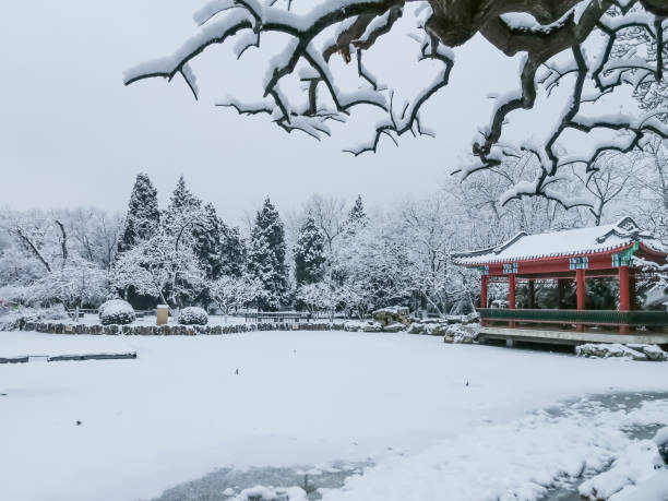 istock Snow in a public park 1370224614