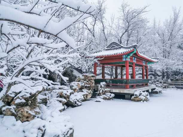istock Snow in a public park 1370224625