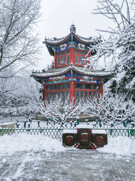 istock Snow in a public park 1370224636