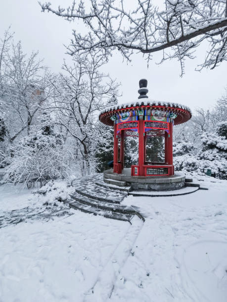 Snow in a public park