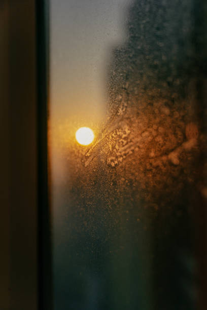 The morning sun shone on the glass