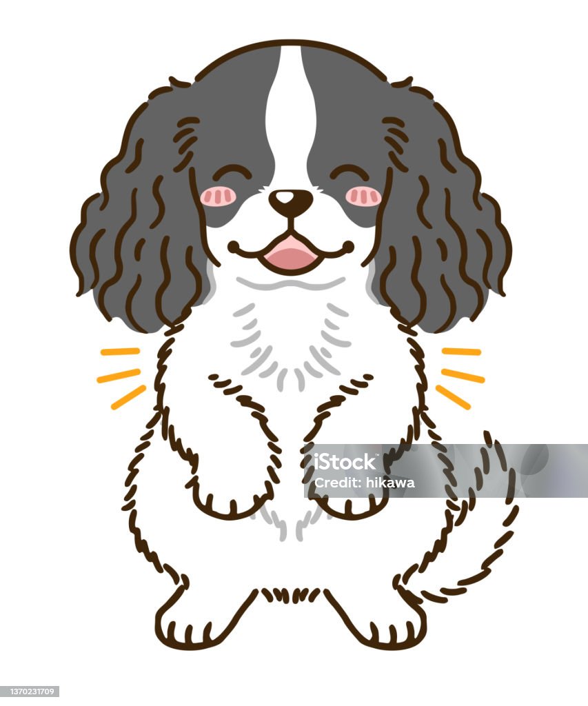 Cocker Spaniel Smiling Vector American Cocker Spaniel Smile Stock Illustration - Download Image Now ...
