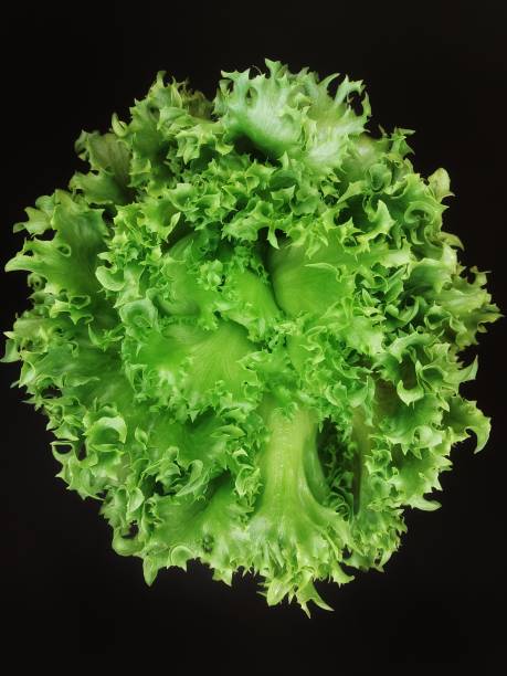 istock The green vegetable on the background. 1370240461