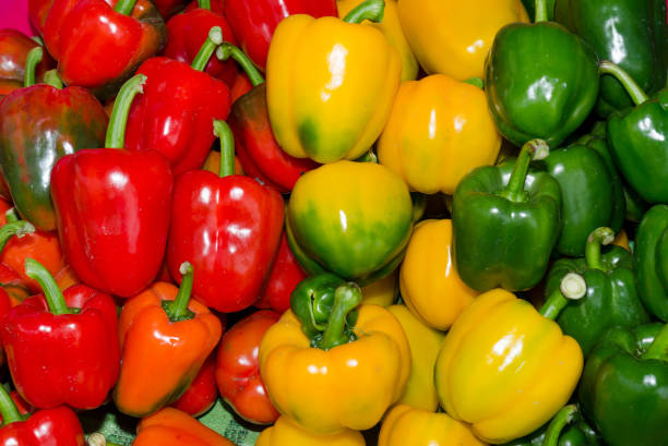 istock Three color pepper photos in Thailand 1370243017